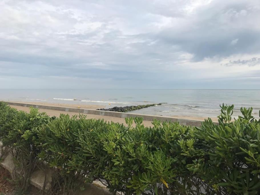 Vue Exceptionnelle En Front De Mer, 8 Personnes Ver-sur-Mer Экстерьер фото